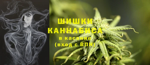 дживик Арсеньев