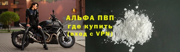 сатива Аркадак