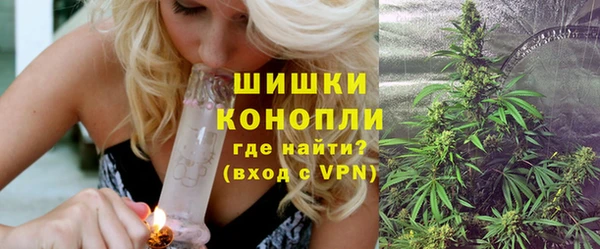 сатива Аркадак