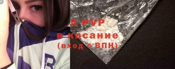 дживик Арсеньев