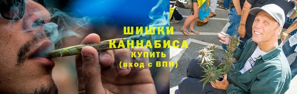 сатива Аркадак